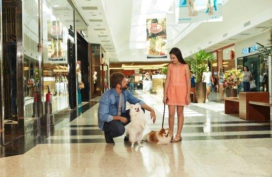 Shopping Jardim das Américas agora é Pet Friendly