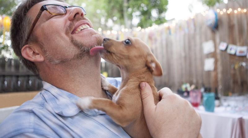Estudo confirma que os cachorros conseguem sentir se uma pessoa é confiável