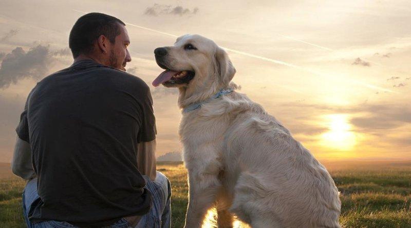 Estudos dizem que criar cães pode tornar você um líder melhor e mais feliz
