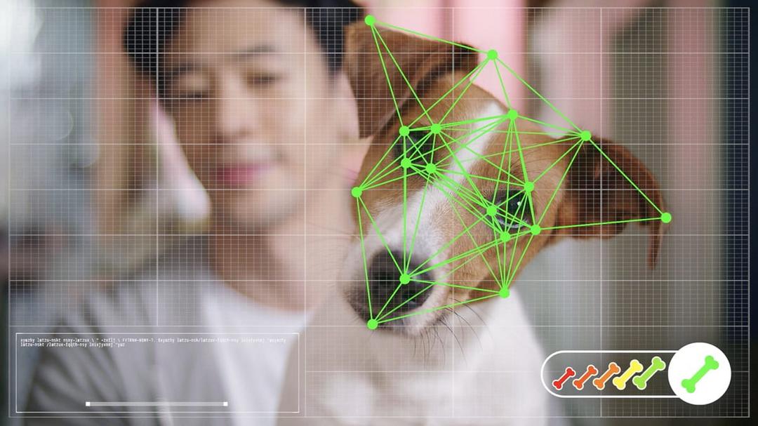 Petz lança e-commerce com reconhecimento facial para cachorros